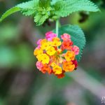 Passion for Photography IMG_9345-1536x1024